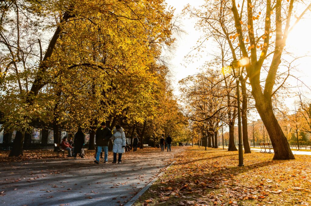 Wynajem apartamentów Warszawa dzielnice